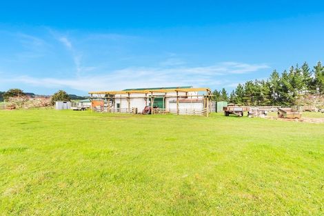 Photo of property in 251 Klondyke Road, Onewhero, Tuakau, 2697