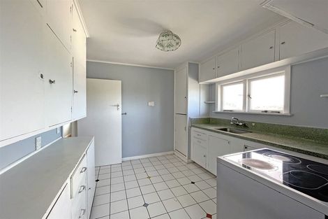 Photo of property in 391 Mount Albert Road, Mount Roskill, Auckland, 1041