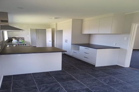 Photo of property in 167 Mahoe Street, Melville, Hamilton, 3206