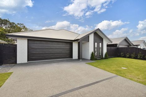 Photo of property in 29 Crossley Avenue, Woodend, 7610