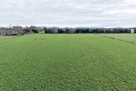 Photo of property in 28 Mitcham Road, Allenton, Ashburton, 7772