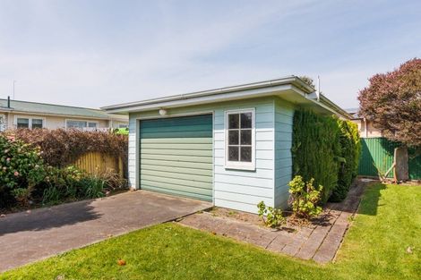 Photo of property in 17 Blenheim Place, Feilding, 4702