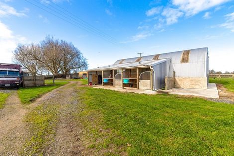 Photo of property in 670 Kaipaki Road, Ohaupo, 3881