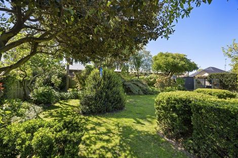 Photo of property in 6 Fuchsia Place, Springlands, Blenheim, 7201