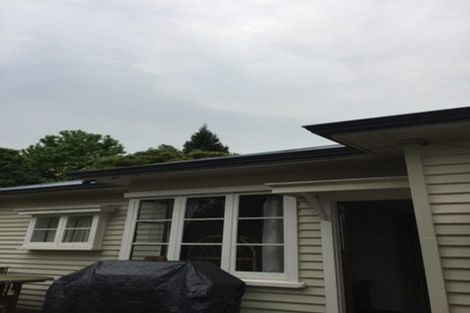 Photo of property in 16 Grange Street, Hillsborough, Christchurch, 8022