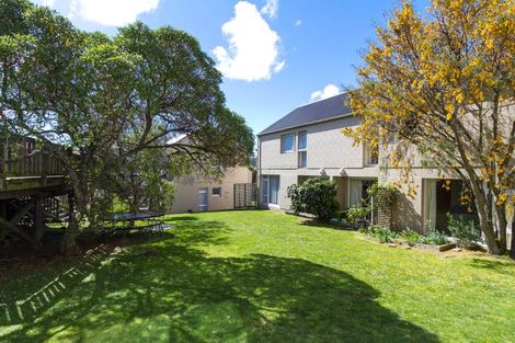 Photo of property in 316 Mansfield Street, Newtown, Wellington, 6021