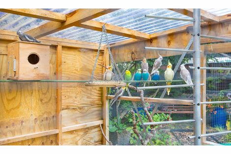 Photo of property in 58 Spinnaker Drive, Flagstaff, Hamilton, 3210