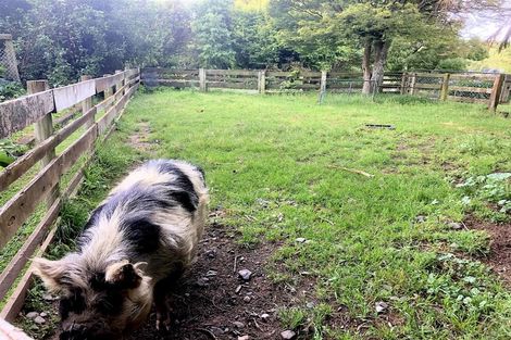 Photo of property in 945 Makaretu Road, Ashley Clinton, Takapau, 4286