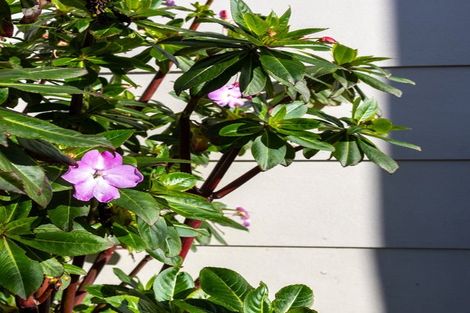 Photo of property in 54 Rayner Road, Huntly, 3700