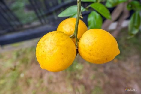 Photo of property in 198c Cambridge Terrace, Naenae, Lower Hutt, 5011