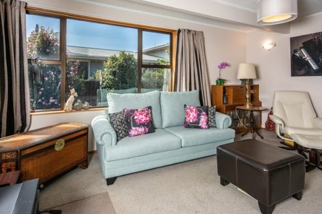 Photo of property in 219a Redwood Street, Witherlea, Blenheim, 7201