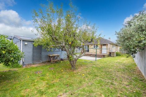 Photo of property in 44 Ross Crescent, Fairfield, Hamilton, 3214