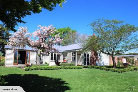 Photo of property in 1842 Cust Road, Cust, 7471