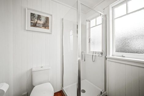 Photo of property in 45 Formby Avenue, Point Chevalier, Auckland, 1022