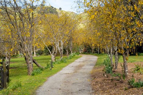 Photo of property in 349 Upper Waingawa Road, Kaituna, Masterton, 5888