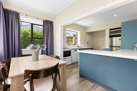 Photo of property in 41 Mayfield Avenue, Wakari, Dunedin, 9010