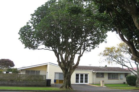 Photo of property in 1/2 Selwyn Street, Lower Vogeltown, New Plymouth, 4310