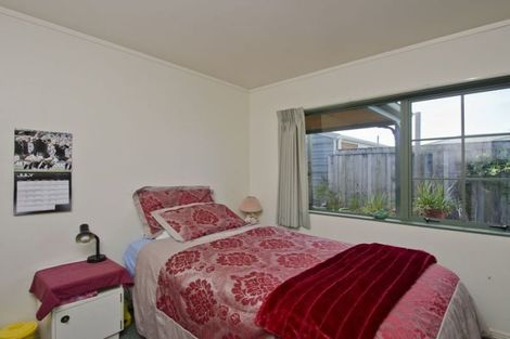 Photo of property in 43b Leander Street, Mount Maunganui, 3116