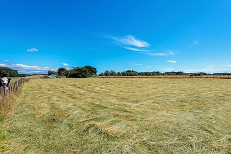 Photo of property in 409 Foxton Shannon Road, Foxton, 4893