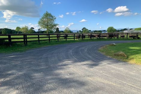 Photo of property in 53 Taihoa Road South, Matamata, 3473