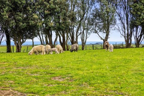 Photo of property in 2745 Opunake Road, Te Kiri, Opunake, 4682