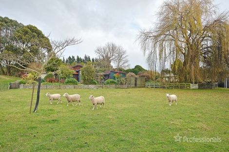 Photo of property in 187 Te Whiti Road, Homebush, Masterton, 5885