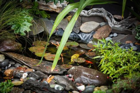 Photo of property in 9b Boyd Street, Katikati, 3129