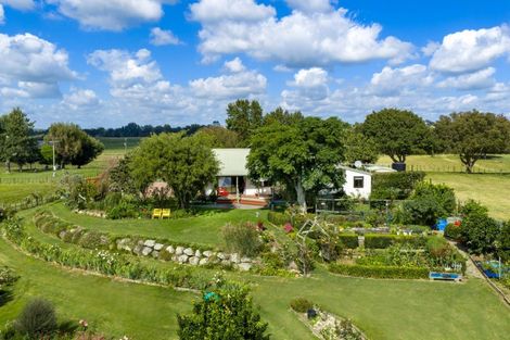 Photo of property in 81 Mcghie Road, Kihikihi, Te Awamutu, 3875