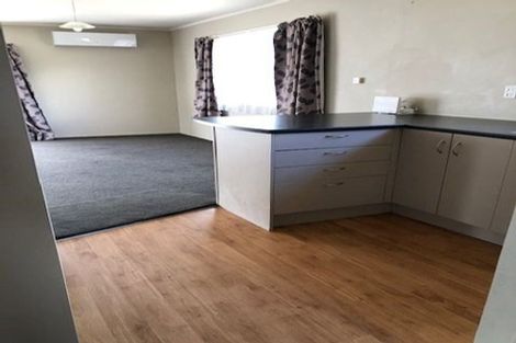 Photo of property in 157c Nixon Street, Hamilton East, Hamilton, 3216