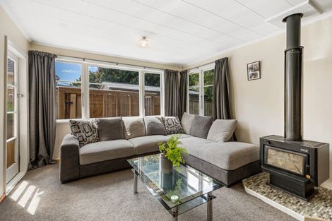Photo of property in 9 Lewis Place, Highbury, Palmerston North, 4412