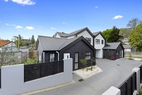 Photo of property in 1/13 Clarkin Road, Chartwell, Hamilton, 3210