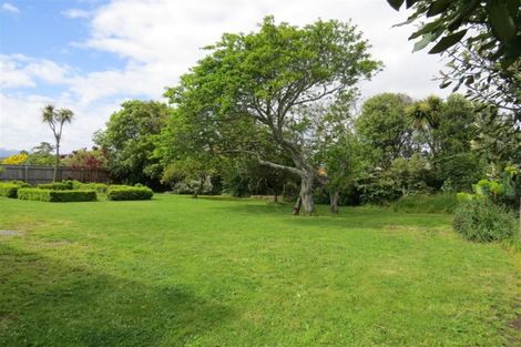 Photo of property in 117a Queen Street West, Levin, 5510