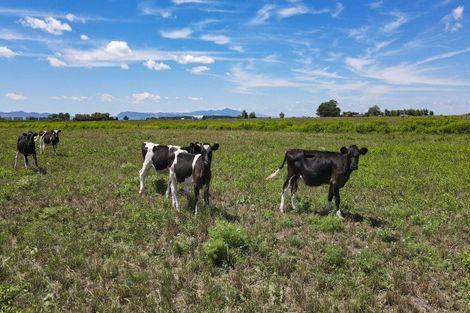 Photo of property in Kaihere Road, Kaihere, Ngatea, 3597