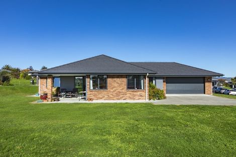 Photo of property in 3 Apatu Place, Waipukurau, 4200