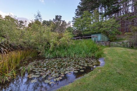 Photo of property in 224 Richards Road, Dairy Flat, Albany, 0794