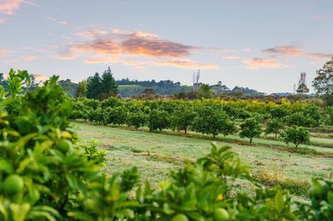 Photo of property in 694a State Highway 2, Tahawai, Katikati, 3170