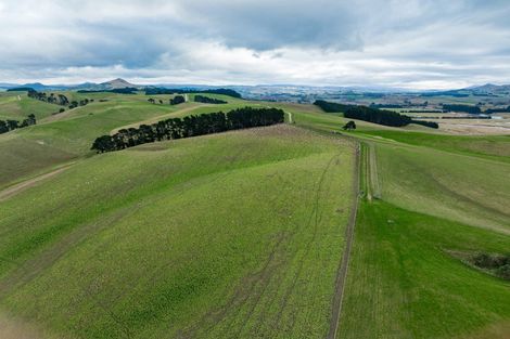 Photo of property in 53 Bushey Park Road, Bushey, Palmerston, 9482