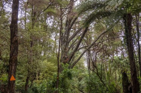 Photo of property in 58 Hinemoa Terrace, Tairua, 3508