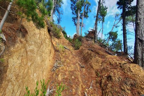 Photo of property in 165 Bon Accord Harbour, Kawau Island, 0920