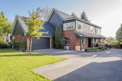 Photo of property in 19 Stuart Street, Levin, 5510