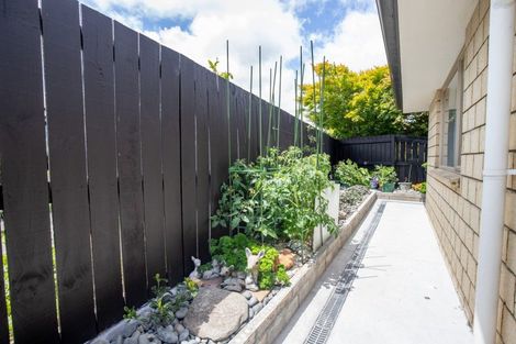 Photo of property in 13a Madgwick Place, Ngatea, 3503