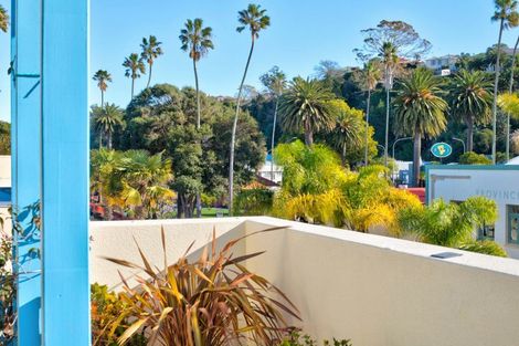 Photo of property in 243 Emerson Street, Napier South, Napier, 4110