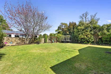 Photo of property in 22 Mcmeekan Avenue, Chartwell, Hamilton, 3210