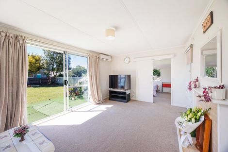 Photo of property in 125 Limbrick Street, Terrace End, Palmerston North, 4410