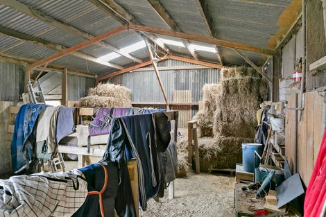 Photo of property in 29 Platt Road, Newstead, Hamilton, 3287