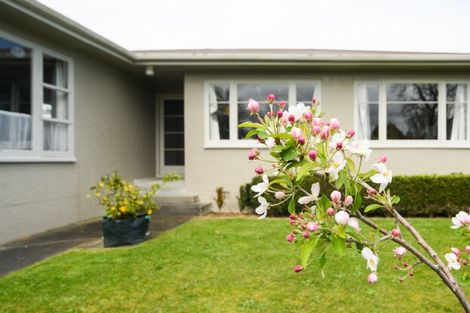 Photo of property in 2 Tern Place, Hokowhitu, Palmerston North, 4410