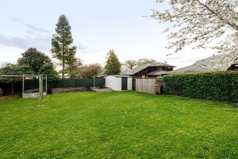 Photo of property in 63 Naylor Street, Hamilton East, Hamilton, 3216