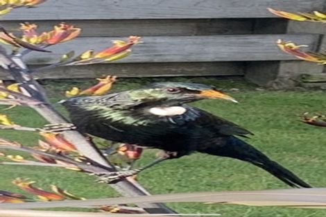 Photo of property in 54 Acacia Bay Road, Nukuhau, Taupo, 3330