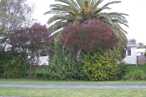 Photo of property in 38 Jellicoe Street, Greytown, 5712