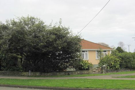 Photo of property in 141 Weraroa Road, Levin, 5510